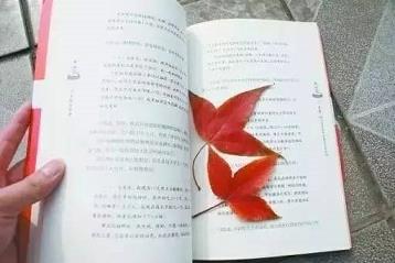 倚天平台