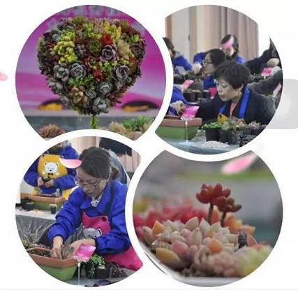 pg电子皇冠维护多久
